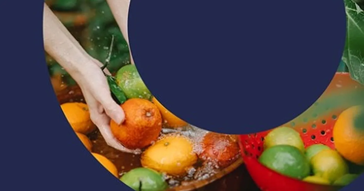 turkiyeden-planthealth4life-kampanyasina-destek-RcxMLlzS.webp
