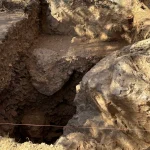 Çanakkale'deki tarihi mirasın kazılarına tam destek